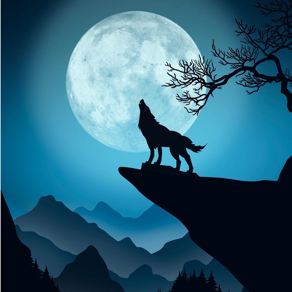 Jeu du Loup-Garou