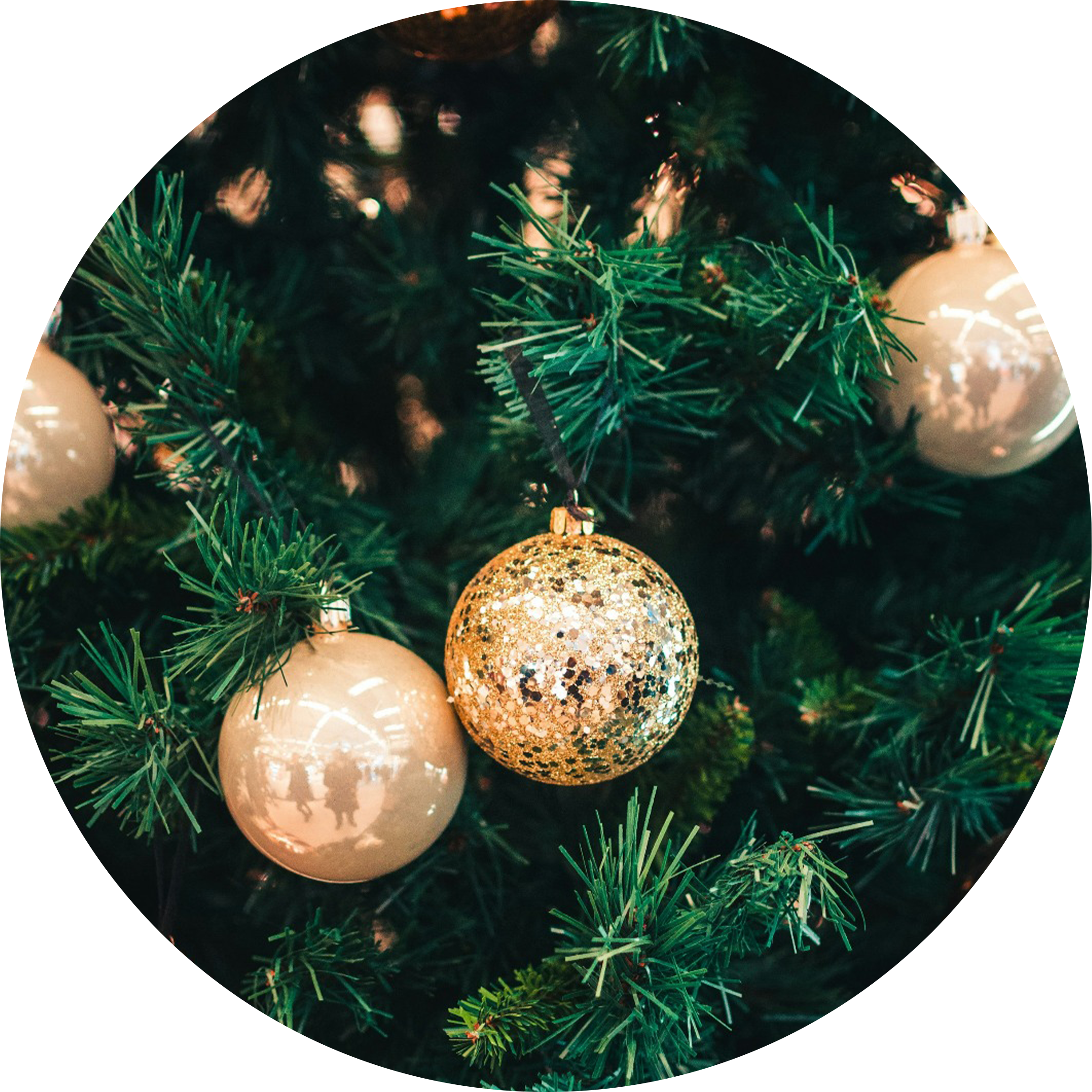 Sapin de noel château Formont bordeaux sortie famille