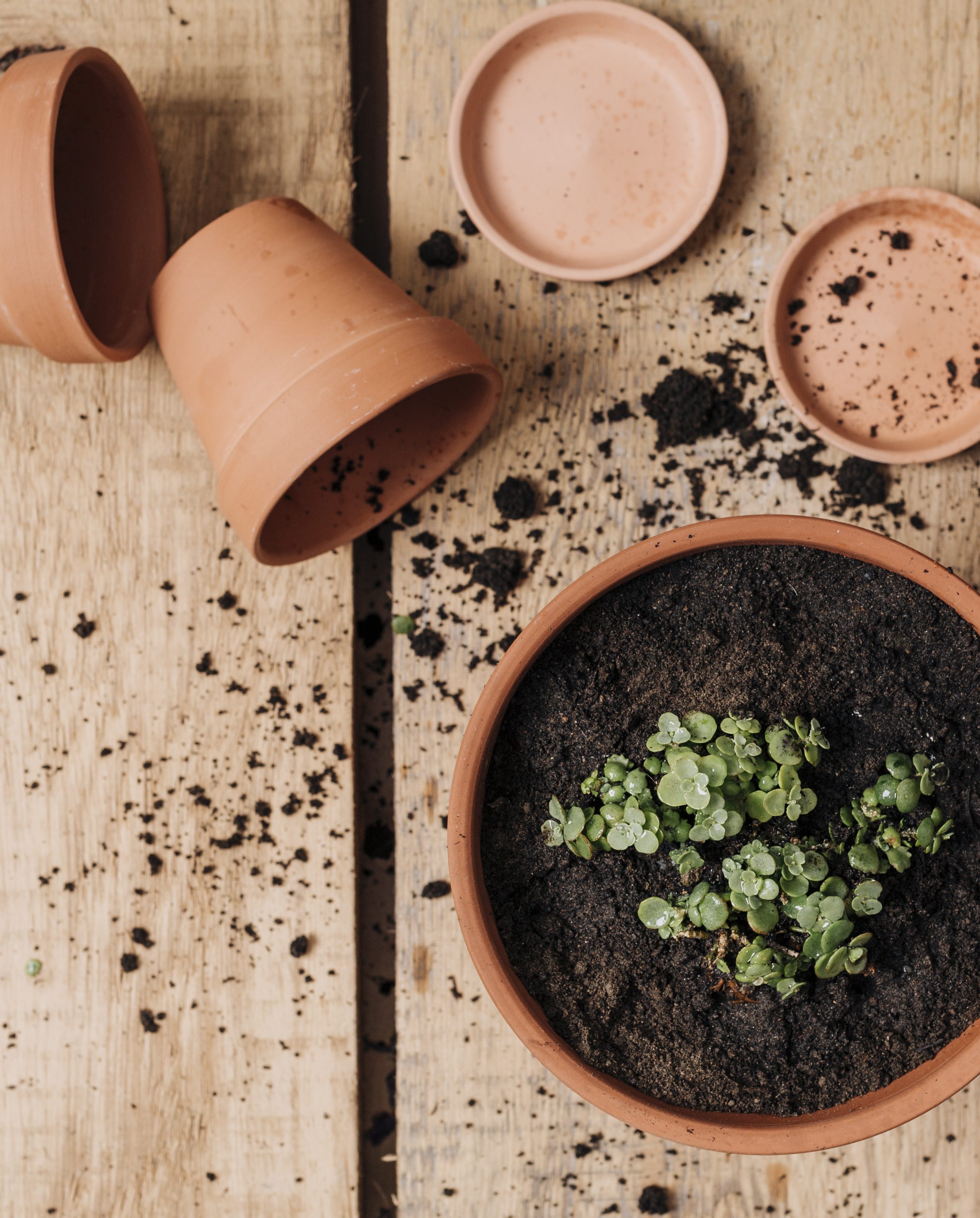 Les Ateliers créatifs