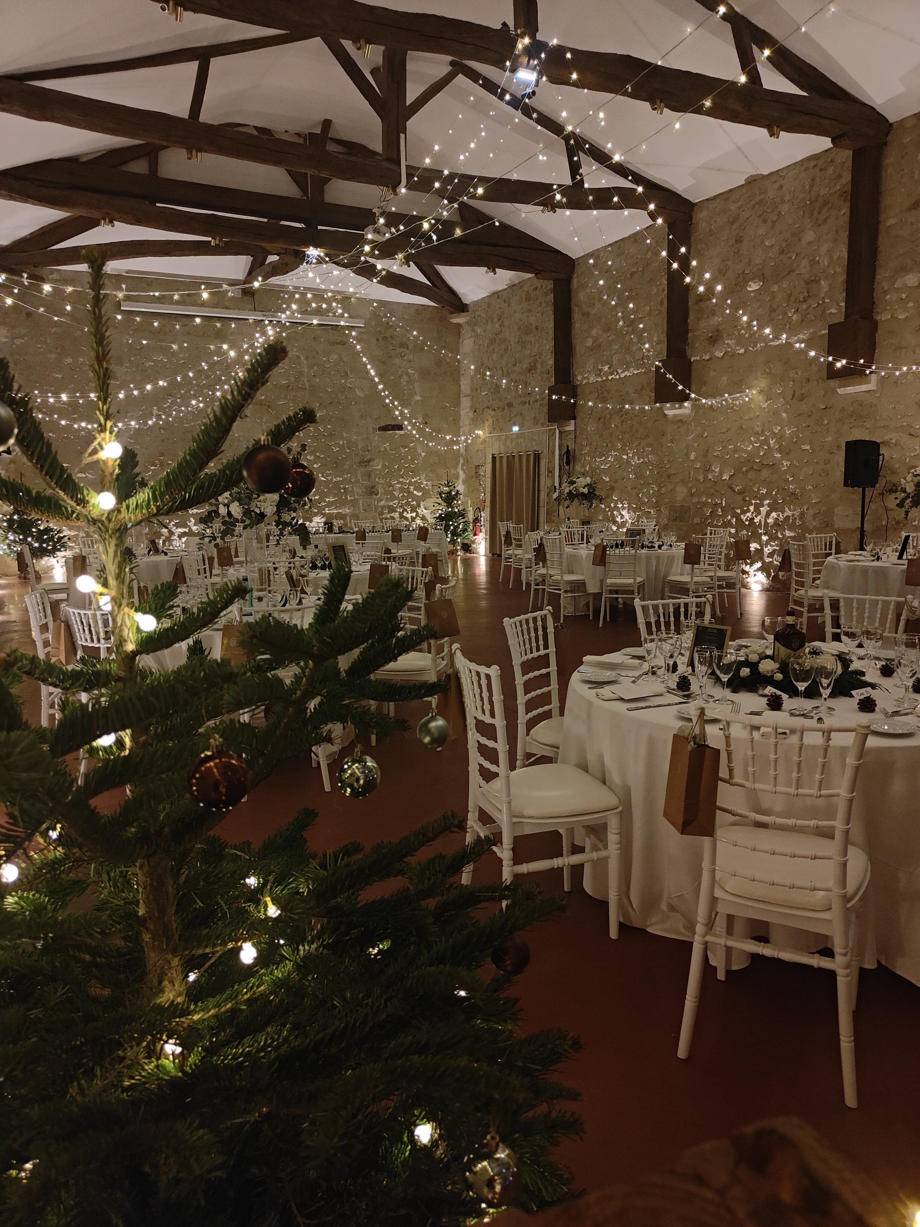 Salle plénière - séminaire noel, fête